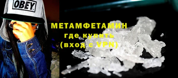 PSILOCYBIN Болотное