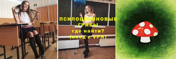 винт Болхов