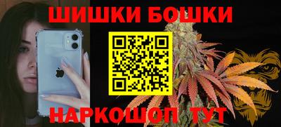 крисы Камышлов