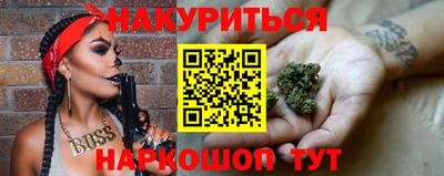 крисы Камышлов