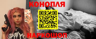 крисы Камышлов