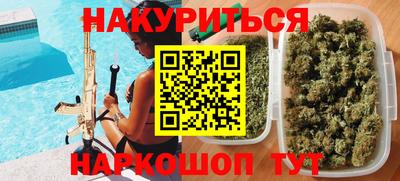 крисы Камышлов