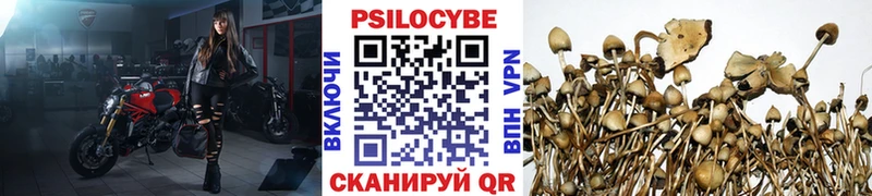 Псилоцибиновые грибы GOLDEN TEACHER  продажа наркотиков  Родники 